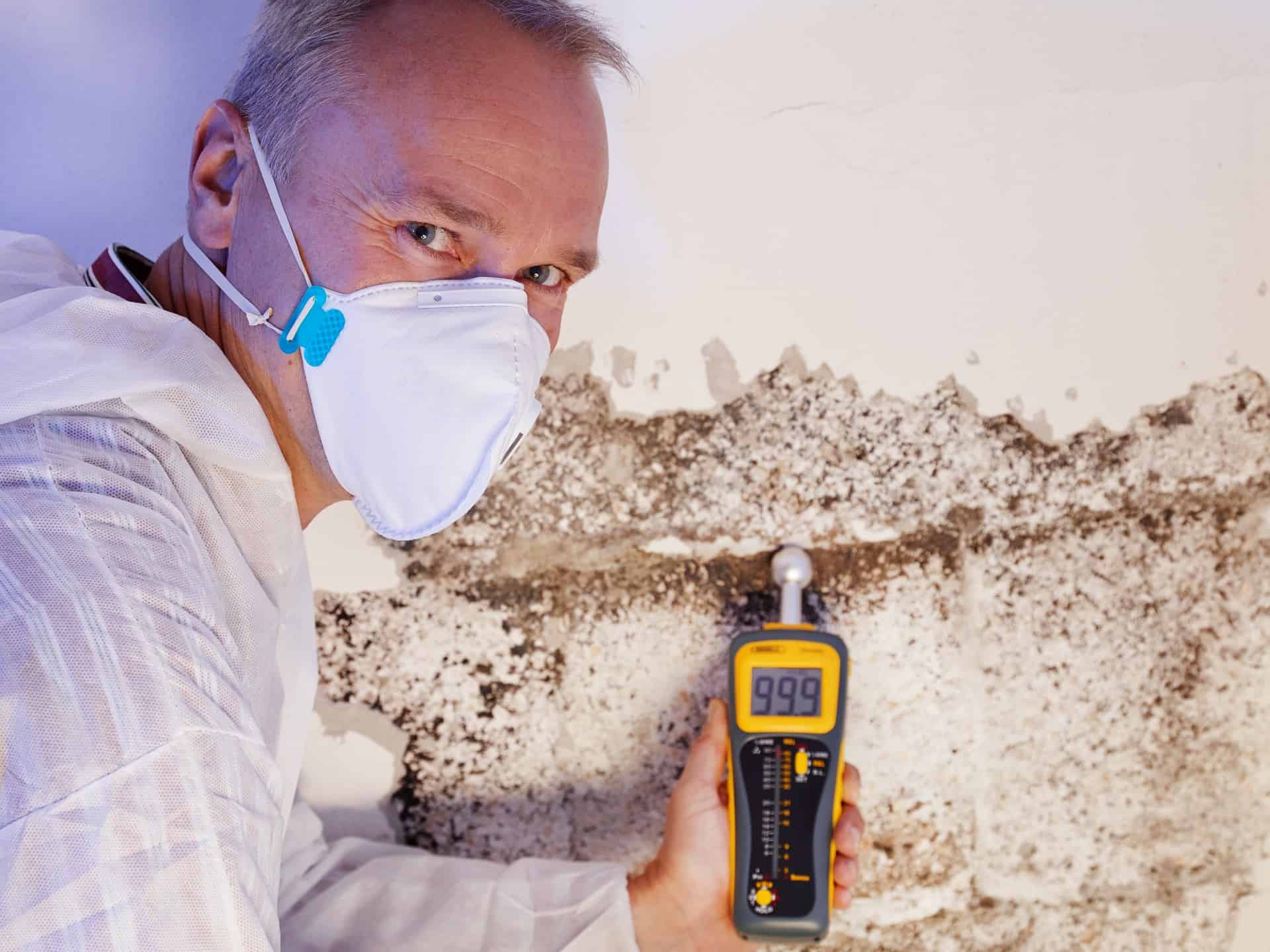 mold-discovery-Okanagan-home-inspection-before-buying-C4U-Inspections.