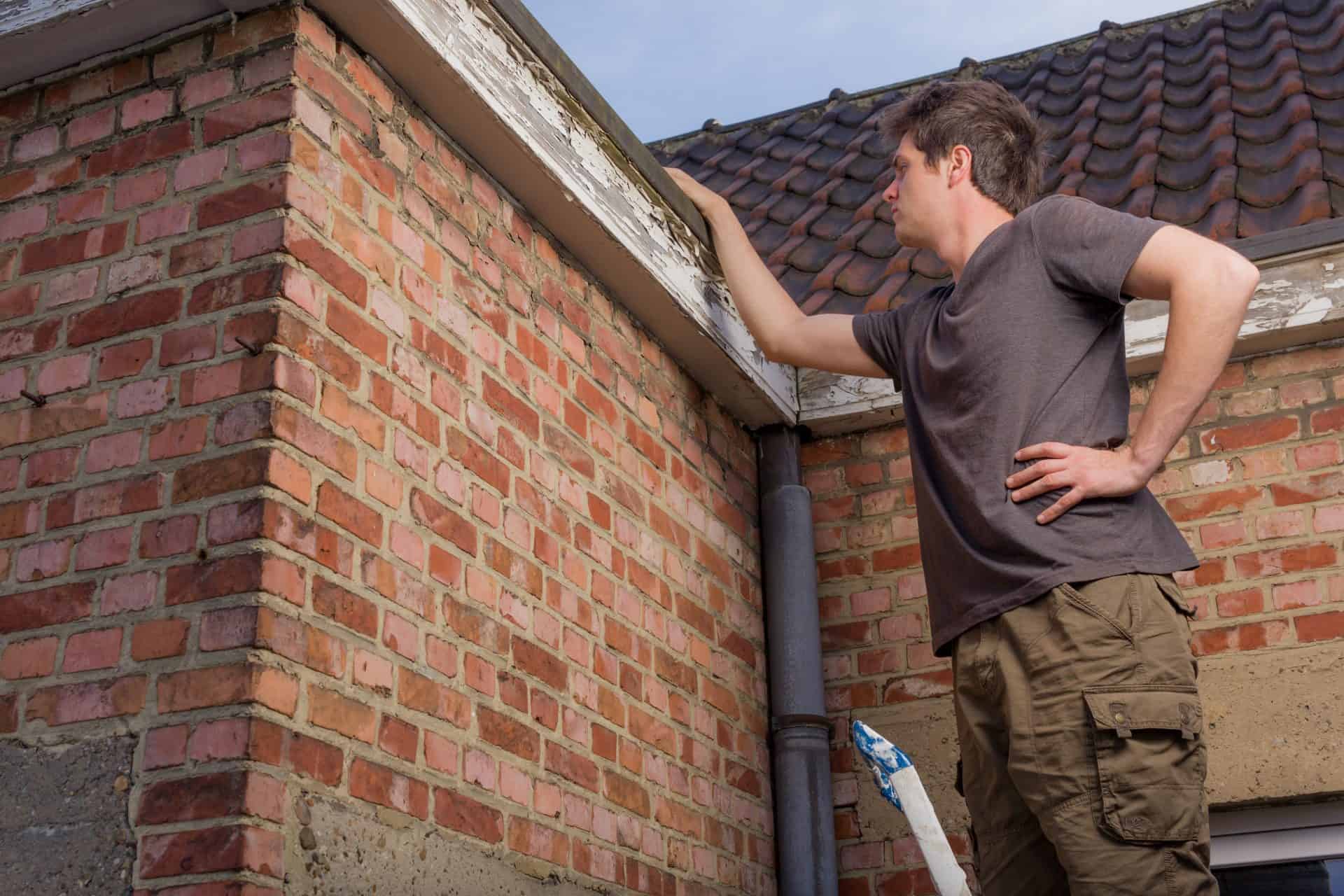 Man Inspecting His Roof From a Ladder